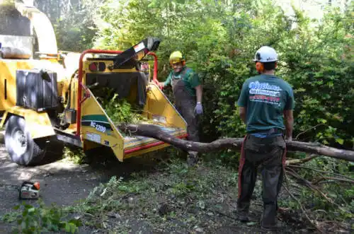 tree services Maquoketa